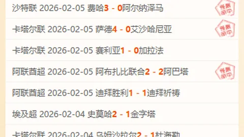 我国航空应急救援能力飞跃与体系发展概览