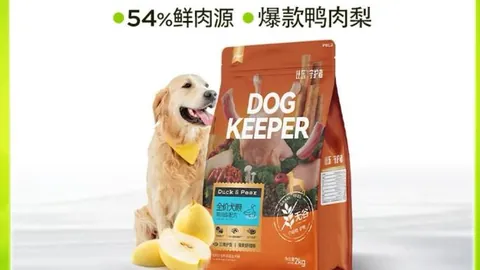 红魔5电竞手机，性能升级战力飙升